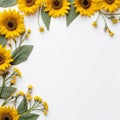 Delicate Sunflower Frame Crisp Copy Area