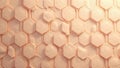 A delicate, textured, organic hexagonal surface with subtle undulations and soft, warm lighting creating a visually soothing Royalty Free Stock Photo