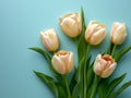 Delicate Tulip Flowers on Neutral Blue Background AI Generated Royalty Free Stock Photo