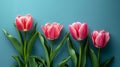 Delicate Tulip Flowers on Neutral Blue Background AI Generated Royalty Free Stock Photo