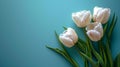 Delicate Tulip Flowers on Neutral Blue Background AI Generated Royalty Free Stock Photo