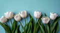 Delicate Tulip Flowers on Neutral Blue Background AI Generated Royalty Free Stock Photo