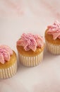 Delicate Vanilla Cupcake Royalty Free Stock Photo