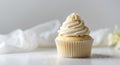 Delicate Vanilla Cupcake with Whipped Cream Frosting Royalty Free Stock Photo