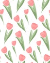 Delicate vector pattern with pink tulips on a white background. Feminine spring floral texture in pastel colors Royalty Free Stock Photo