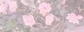 Delicate vintage floral background with roses in light pink. Wedding background, postcard
