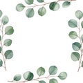 Delicate watercolor eucalyptus branches frame on for elegant design and crafting isolated on white background Royalty Free Stock Photo