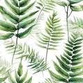 Delicate Watercolor Ferns Seamless Pattern AI Generated