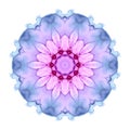 Delicate watercolor flower mandala pattern in pink, violet and blue tones isolated on white background. Royalty Free Stock Photo