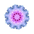 Delicate watercolor flower mandala pattern in pink, violet and blue tones isolated on white background. Royalty Free Stock Photo