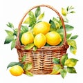 Delicate Watercolor Lemon Illustration In Wicker Basket