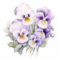 Delicate Watercolor Pansies: White Paloma Flowers On White Backdrop