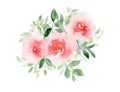 Delicate watercolor pink roses with green leaves