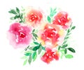 Delicate watercolor red and pink floral bouquet Royalty Free Stock Photo