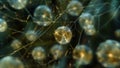 Delicate weblike strands connect several spherical sporangia creating an otherworldly network that seems to stretch on