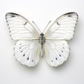 Delicate White Butterfly: A Stunning Commission In The Style Of Patricia Piccinini