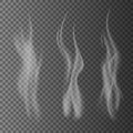 Delicate white cigarette smoke waves on transparent background vector illustration Royalty Free Stock Photo