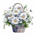 Delicate White Daisy Bouquet In Basket - Highly Detailed Watercolor Clip Art