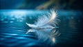 A Delicate White Feather Dancing on Dark Water An Aerial Perspective Capturing the Essence of Lightness and Tranquility Royalty Free Stock Photo