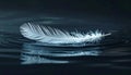White Feather Floating on Dark Water Surface with Reflection Royalty Free Stock Photo