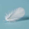 A delicate white feather is lying on a light blue surface. The feather features a central Royalty Free Stock Photo