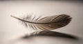 Soft White Feather on Neutral Background. Royalty Free Stock Photo