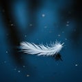 A delicate white feather rests on a dark blue reflective surface, likely water. The Royalty Free Stock Photo