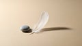 Zen Balance: White Feather and Smooth Grey Stone Royalty Free Stock Photo