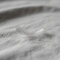A delicate white feather rests on a textured, light gray fabric surface. The feather\'s fine, soft Royalty Free Stock Photo