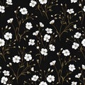 Delicate White Flax Flowers on a Dark Black Background Seamless Pattern Royalty Free Stock Photo