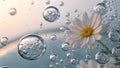 Delicate White Flower Adorned with Water Droplets Surrounded by Floating Bubbles for a Refreshing, Natural Aesthetic Royalty Free Stock Photo