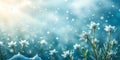Delicate white flowers bloom in a soft blue dreamy setting Royalty Free Stock Photo