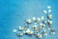 Delicate white flowers on blue, fabric background Royalty Free Stock Photo