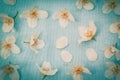 Delicate white flowers on fabric background Royalty Free Stock Photo