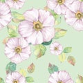 Delicate white flowers. Floral seamless pattern 3