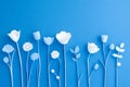 Beautiful arrangement of white flowers on a bright blue background showcasing the contrast of colors and nature's Royalty Free Stock Photo