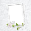 Delicate white frame