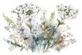Delicate White Gypsophila Watercolor Set for Invitations and Scrapbooking. Royalty Free Stock Photo
