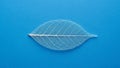 Delicate white leaf skeleton rests on a vibrant blue background Royalty Free Stock Photo