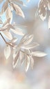 Delicate White Leaves with Sunlight Bokeh Background in Soft Focus Nature banner
