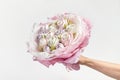 Delicate white-pink bouquet of marshmallows in hand on white background Royalty Free Stock Photo