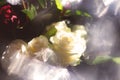 Delicate white roses in soft focus.