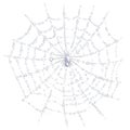 Delicate White Spider Web Embellished with Dew Drops and White Spider Perched on It Royalty Free Stock Photo