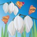 Delicate white Yucca flowers and flying orange butterflies against the blue sky