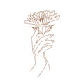 Delicate women hand with golden-daisy flower. Female hand logo in trendy linear style.