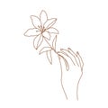 Delicate women hand with lily flower. Female hand logo.