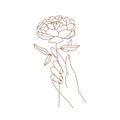 Delicate women hand with peony flower.