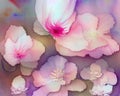 Delicately painted watercolor Flowers Royalty Free Stock Photo