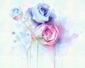 Delicately painted watercolor Flowers Royalty Free Stock Photo