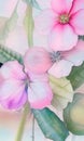 Delicately painted purple watercolor Flowers Royalty Free Stock Photo
